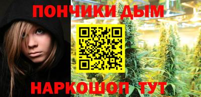 стафф Лесосибирск