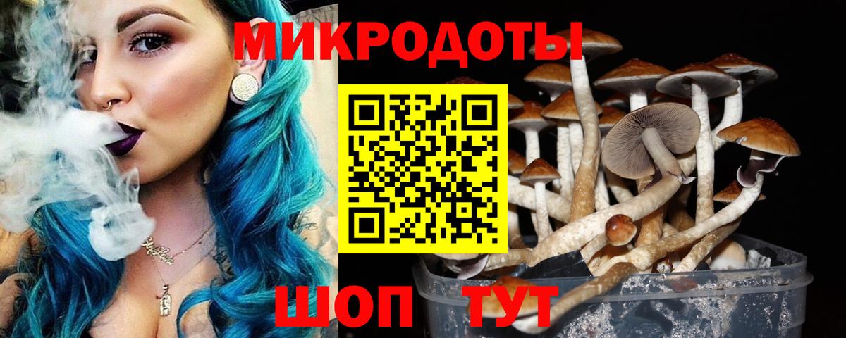 Ижевск  Псилоцибиновые грибы Psilocybe  Вход с VPN 